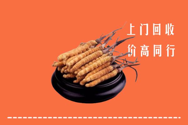 高价求购：东港区回收散虫草