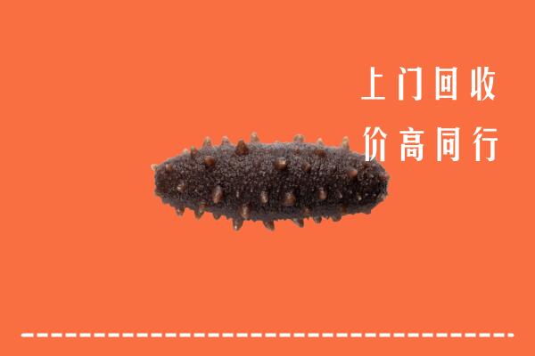 高价求购：东港区回收海参