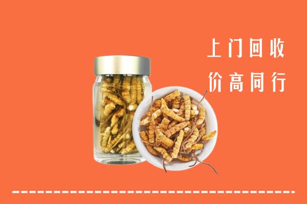 东港区回收冬虫夏草