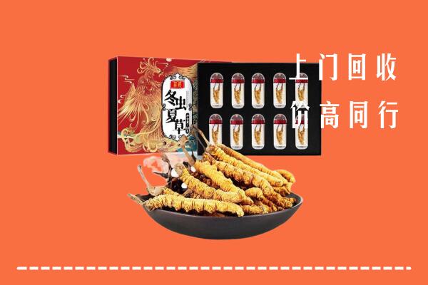 东港区回收虫草